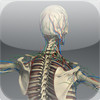 Human Anatomy - iPad Edition