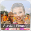 Thai Beginner Survival Phrases for iPad