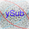 ySubstitution