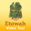 Etowah Mounds Site Tour