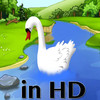Ugly Duckling Interactive Story