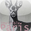 Invisible Paris Walks