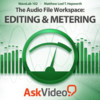 AV for WaveLab - Editing and Metering