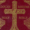 Bible Douay-Rheims Version(Catholic)
