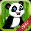 Panda Bear Baby Run FREE - Addictive Animal Running Game