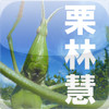 Insect Photobook -The World of KURIBAYASHI,SATOSHI-