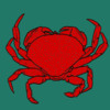 Digital Deck Dungeness Crab Logbook