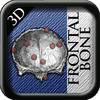 Frontal Bone 3D