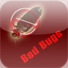 Bed Bugs - Prevent And Treat Bed Bugs Revealed