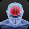 Migraine tracker! - Track Your Migraines!