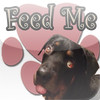 Feed Me (Dog)