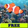 Fishes for Toddlers FREE