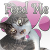 Feed Me (Cat)