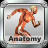 Biology Expert : Human Anatomy Quiz