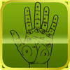 Palmistry - The Palm Reader