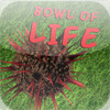 Bowl of Life
