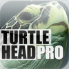TurtleHead Pro