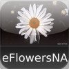 Flowers of North America - eFlowersNA