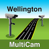 MultiCam Wellington