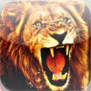 Lion s - Dangerous Wild Cats Preying From Your ...