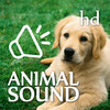 Animal Sounds Collection