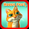 House Pest starring Fiasco the Cat