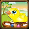 A Cute Chicken Story Catch the Eggs Game - Full Version