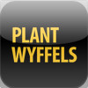 Plant Wyffels Hybrids
