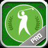Pro Golf 2014