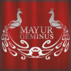 Bunty Group Mayur Geminus