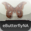 Butterflies & Moths of North America - eButterflyNA