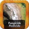 Pesticides and Fungicides