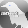 BirdSounds Lite