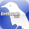 BirdSounds Pro