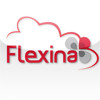 Flexina Invoices