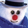 Snow Man HD.