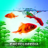 Fish Encyclopedia