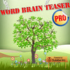 Word Brain Teasers Pro - Teach, Learn and Quiz English Word