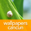 WP Cancun 1