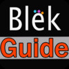 Complete Video Walkthrough for Blek - Full Levels Wiki Guide