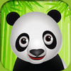 Panda Band HD