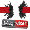 Magnet Study