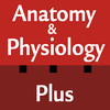 Anatomy & Physiology Plus Flash Cards