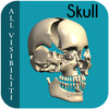 All Visibiliti Skull v1
