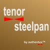 Tenor Steelpan