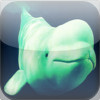 Beluga Whale - Cold Ocean Water Sounds