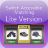 Switch Accessible Matching - Lite Version