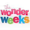 Baby Wonder Weeks Development Calendar