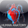 Human Anatomy App
