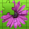 Bewilder-III 101 flowers jigsaw puzzle game